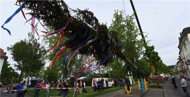 Der Maibaum der Kurstadt wurde in der Mittelstraße aufgestellt.Fix