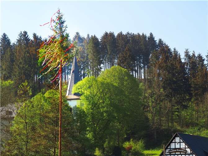 Der Maibaum in Heckenbach. Foto: privat