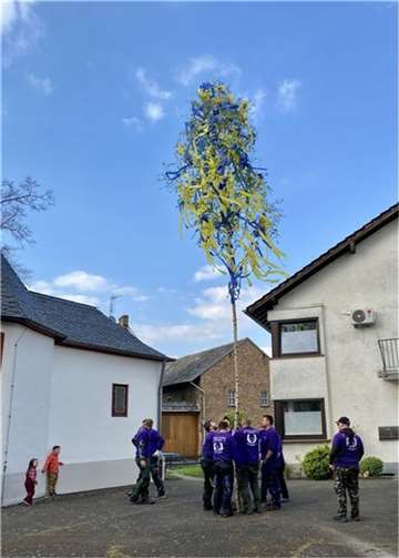 Der Maibaum ist in ukrainischen Landesfarben geschmückt.  Foto: privat