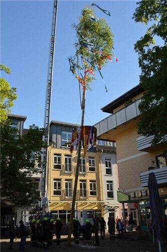 Der Maibaum steht.