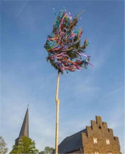 Der Maibaum steht bereits in Odendorf. Foto: privat