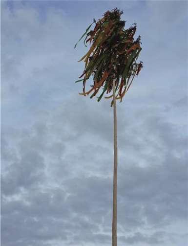 Der Maibaum steht in der Dorfmitte. privat