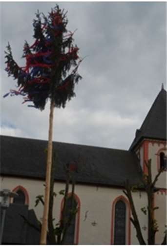Der Maibaum vor der St. Petrus-Kirche. Privat