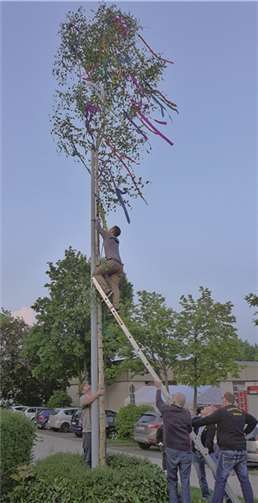 Der Maibaum wird an der Berkumer Feuerwehr aufgestellt. privat