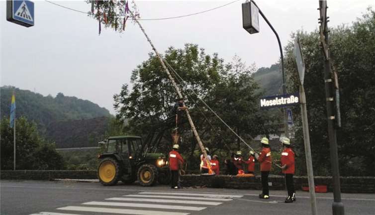 Der Maibaum wird mit vereinter Kraft in die Höhe gestemmt.privat