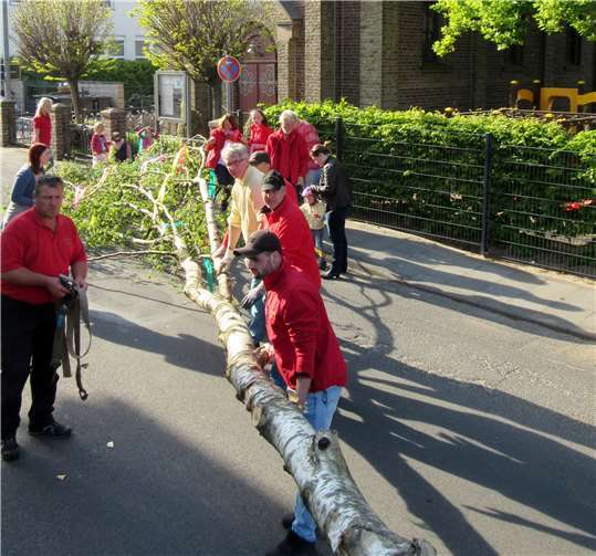 Der Maibaum wird von der Vereinsjugend im Dorf aufgestellt. privat