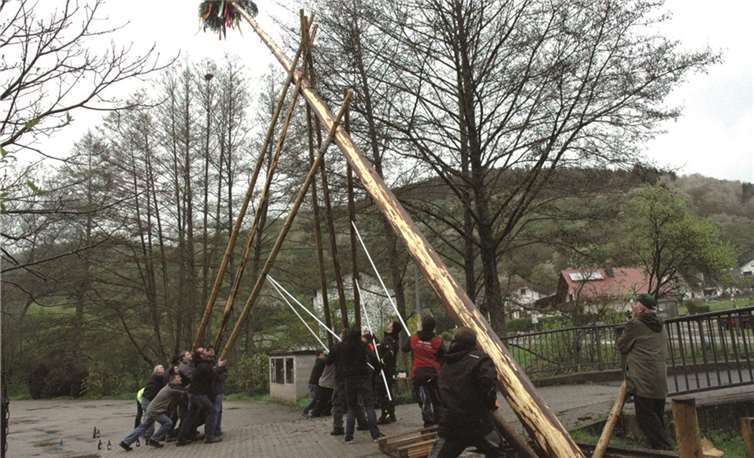 Der Maibaum wurde mit Muskelkraft gestellt.UM