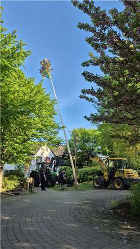 Der Maibaum wurde von Helfern aufgestellt.
