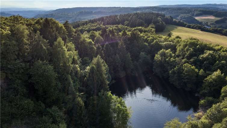 Der Malbergsee im Naturpark Rhein-Westerwald.  Copyright: Andreas Pacek