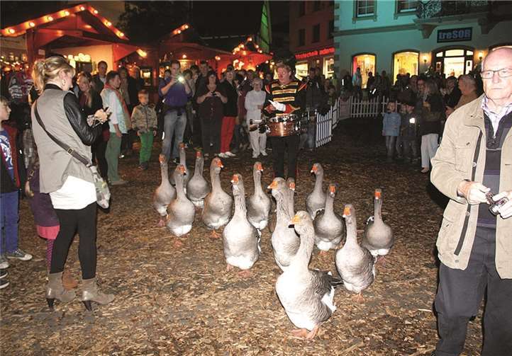 Der Marsch der mächtigen Graugänse durch Linz war eindeutig die Attraktion der Veranstaltung.