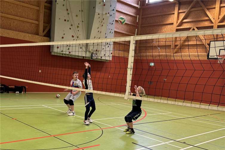 Der Meckenheimer Sportverein lädt in den Osterferien zum Volleyball-Camp ein.  Foto: privat