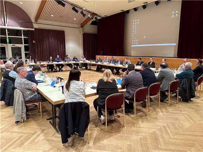 Der Mendiger Stadtrat befasste sich auf seiner jüngsten Sitzung unter anderem mit einer beantragten Ausnahme vom Fällverbot, dass im § 4 Abs. 1 der Baumschutzsatzung der Stadt Mendig festgeschrieben ist. Foto: VG-Verwaltung Mendig/Stefan Pauly