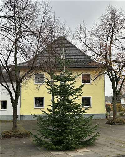 Der Merler Weihnachtsbaum passt in jedes Wohnzimmer. Foto: privat