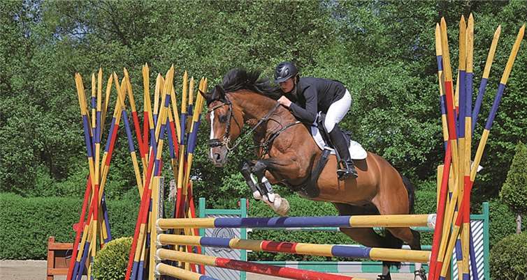 Der Mikado-Sprung - ein ebenso auffälliges wie auch anspruchsvolles Hindernis. privat