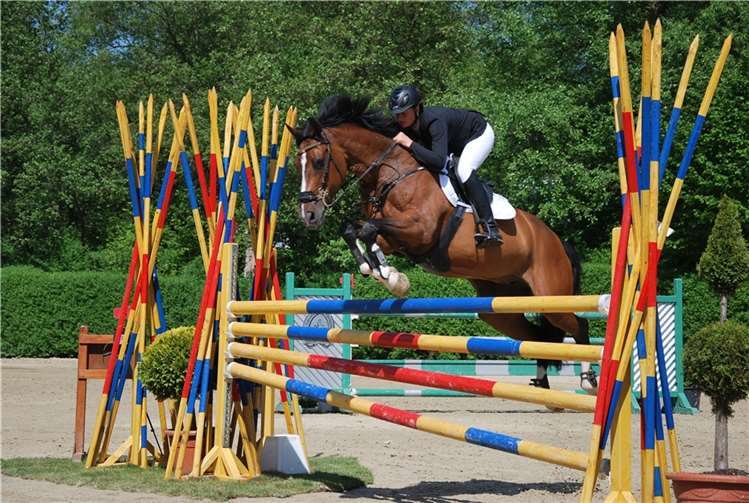 Der Mikadosprung beim Turnier des Reit- und Fahrverein Oberbachem.  Foto: Reit- und Fahrverein Oberbachem