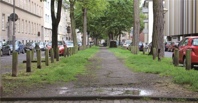 Der Mittelstreifen Südallee kann nach Meinung der Sozialdemokraten mit einfachen Maßnahmen gestaltet werden.  privat