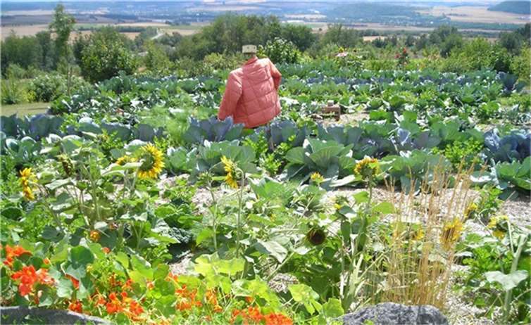 Der NABU appelliert an alle Hobbygärtner, bei der Düngung ihrer Gärten auf natürliche Produkte zu achten. privat