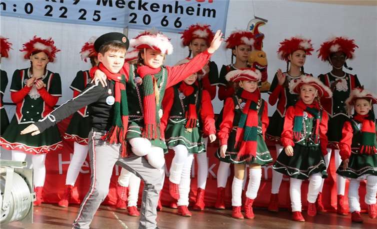 Der Nachwuchs der Stadt-Garde begeisterte mit seinen Tänzen.  StF