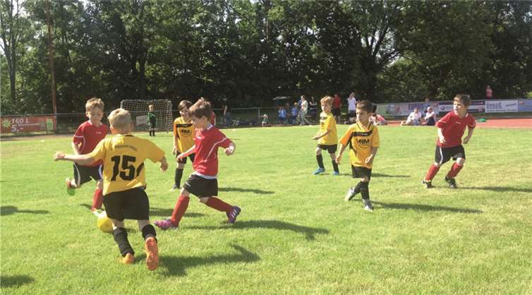Der Nachwuchs jagte beim Bambini-Sommerturnier in Sinzig dem Ball nach.privat