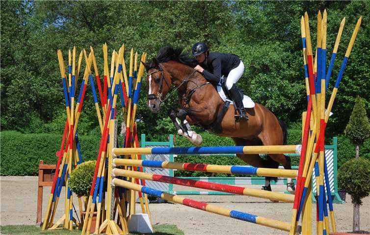 Der Nachwuchs kann in einem Herbstturnier sein Können unter Beweis stellen. Foto: privat