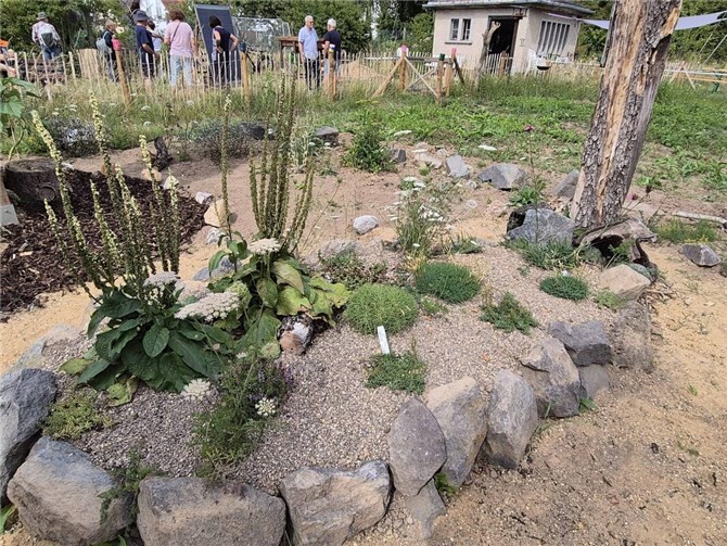 Der „Natur-Erlebnis-Garten“ in Urmitz wurde in den vergangenen Jahren über den Wettbewerb unterstützt. Dabei sind unterschiedliche Kleinstbiotopen und heimische Pflanzen angelegt worden. Foto: Kreisverwaltung Mayen-Koblenz/Lina Jaeger