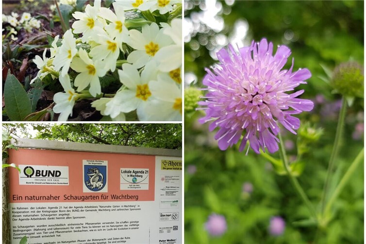 Der Naturnahe Schaugarten der Gemeinde Wachtberg ist jederzeit öffentlich zugänglich