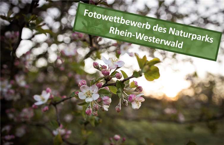 Der Naturpark Rhein-Westerwald startet einen Fotowettbewerb.Foto: EVAND FOTOGRAFIE & DESIGN