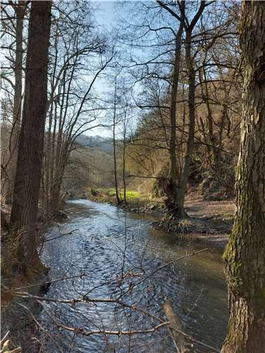 Der Nette-Romantikpfad.  Foto: privat