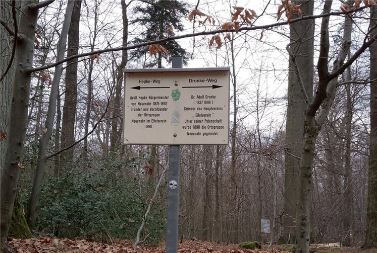 Der Neuenahrer Wald. Foto: Regina Lange