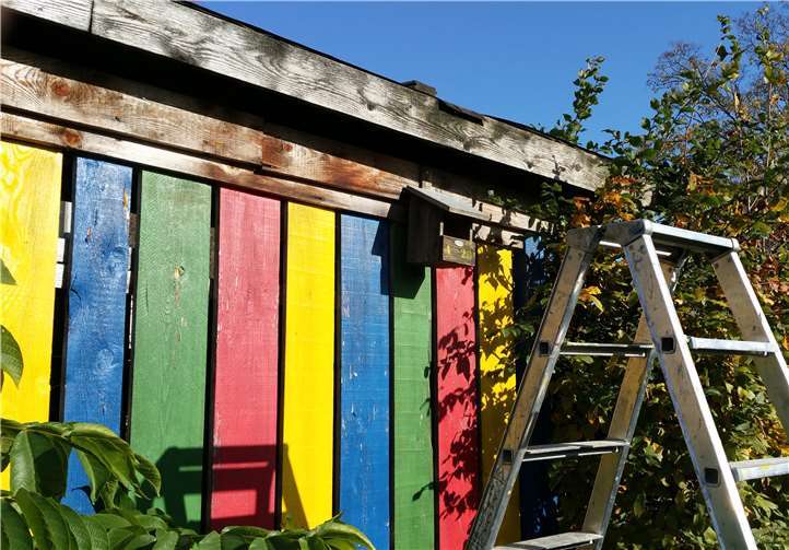 Der Nistkasten hängt nun wieder.Fotos: privat