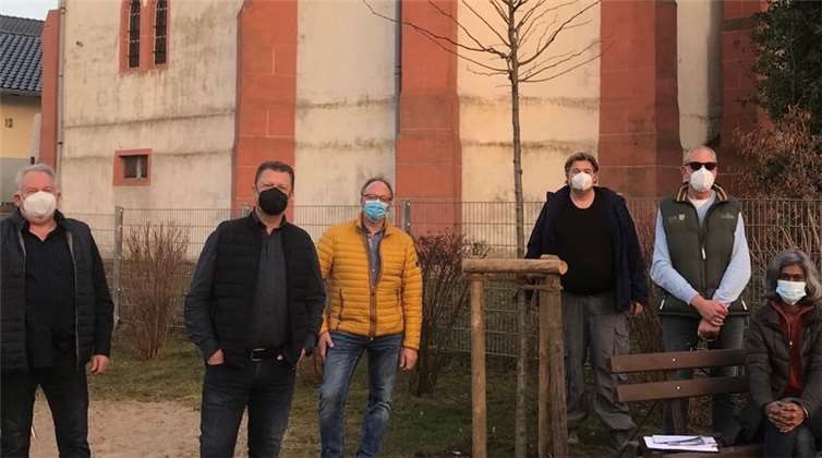 Der Ortsbeirat von Oedingen vor einem der beiden neuen „Sommerlinden“ auf dem Kinderspielplatz, Ortsmitte: (v. l.) Hans-Willi Jungbluth, Mike Nawratil, Dieter Moog, Holger Kowalewski, Olaf Wulf und Farah Diehl-Fahim. Es fehlen die beiden Ortsbeiratsmitglieder Heinz Berhausen und Werner Lapp. Foto: privat