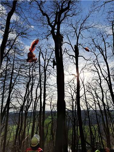 Der Paraglider hatte sich ein einem Baum verfangen.  Fotos: Wehrleiter VG Rengsdorf-Waldbreitbach