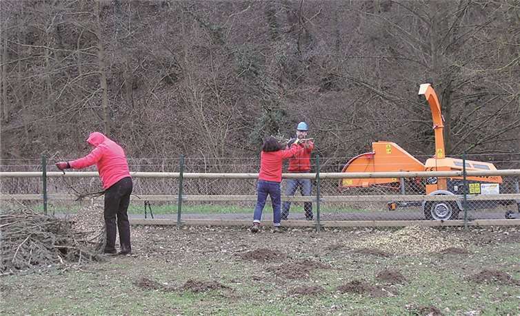 Der Pflege des Baumbestandes galt der Aktionstag am Schwanenteich.privat