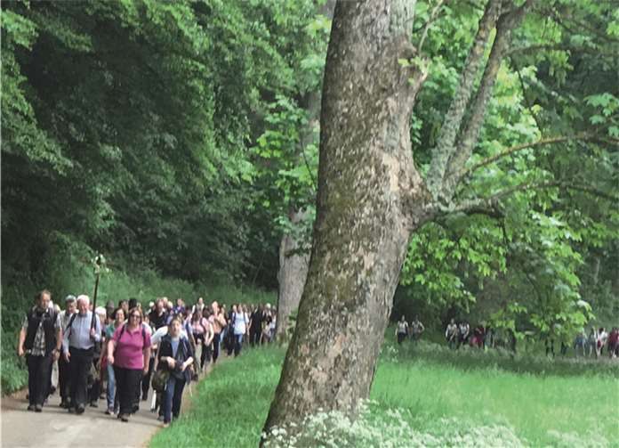 Der „Pilgerlindwurm“ auf dem Weg von Ehrang nach Trier.