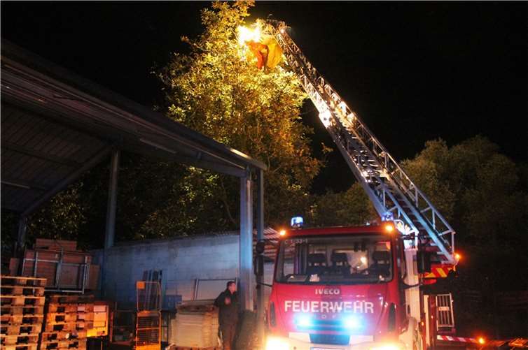 Der Pilot musste aus einer Baumkrone gerettet werden. Fotos: privat