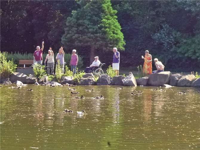 Der Polcher Ententeich ist im Sommer ein schönes Ausflugsziel. privat