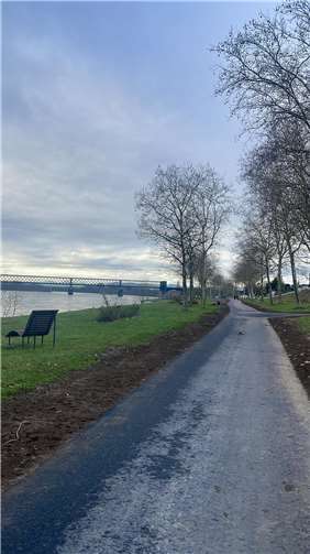 Der Radweg am Rhein wurde saniert.  Foto: Julia Steffenfauseweh
