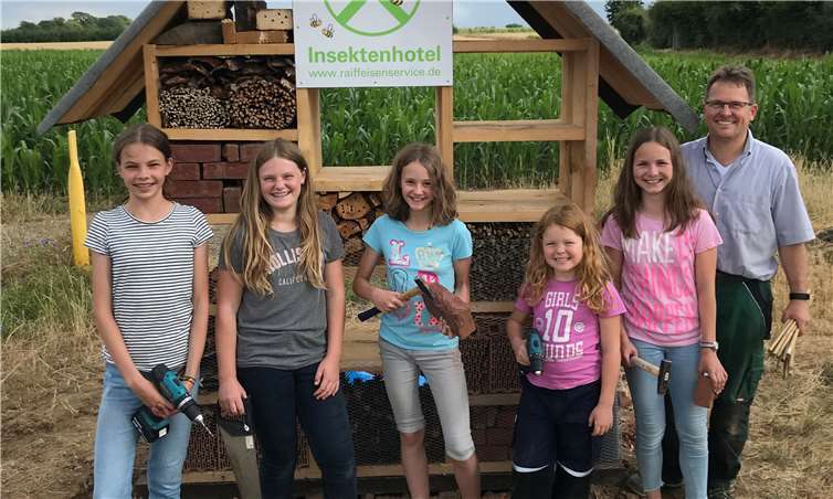 Der Raiffeisen-Markt Rheinbach hat zusammen mit einigen fleißigen Helferinnen ein Insektenhotel in XXL gebaut und bestückt.Foto: privat