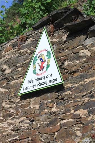 Der Razejungenwingert.Foto: privat
