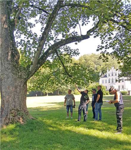 Der Referent Peter Wirges führt gemeinsam mit den Teilnehmern die Sichtkontrolle eines Baumes durch.  Foto: Kreisverwaltung/Dr.R.Kape