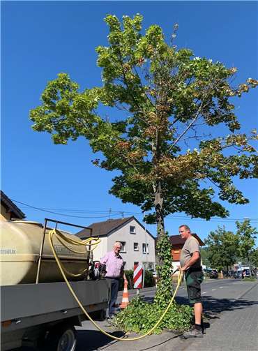 Der Regen der vergangenen Monate reicht bei Weitem nicht aus, die Mitarbeiter des Bau- und Betriebshofs kommen mit dem Bewässern kaum nach.Foto: Thomas Herschbach
