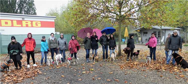 Der Regen konnte dem gemeinsamen Spaziergang der Gassigänger nichts anhaben.Foto: privat