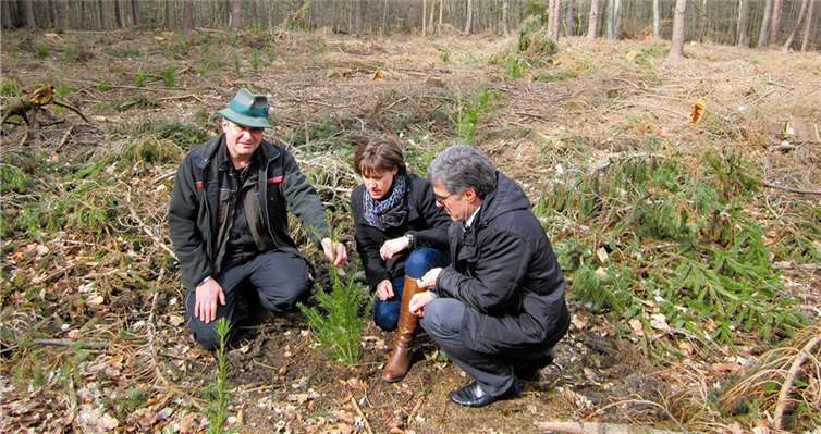 Der Revierförster Stephan Braun zeigte Bürgermeister Wolfgang Kroeger die vorgesehenen Flächen. privat