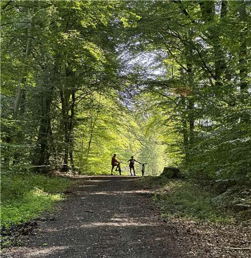 Der Rhein-Lahn-Kreis radelt vom 17. Juni bis 7. Juli.  Foto: Stadtverwaltung Lahnstein