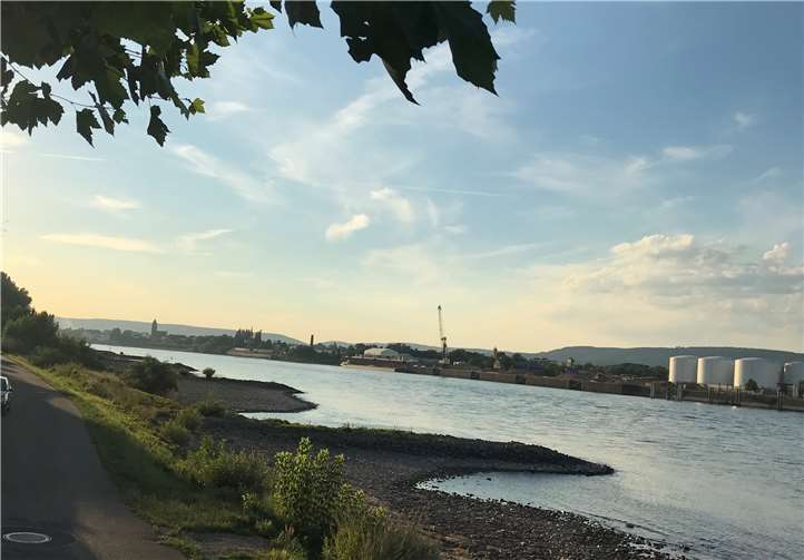 Der Rhein führt seit Monaten Niedrigwasser. privat