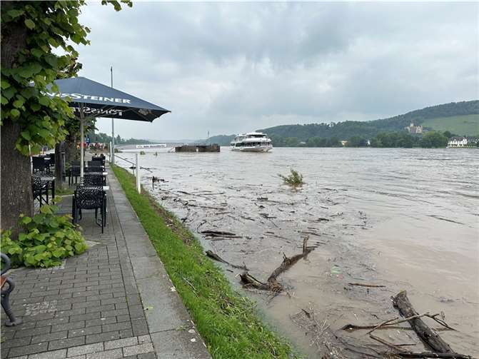 Der Rhein trägt viel Treibholz mit. Foto: ROB