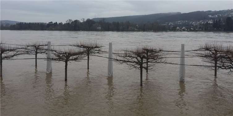Der Rhein überflutete die Uferpromenaden.