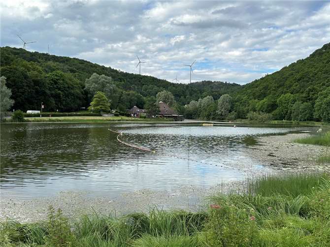Laacher See gewinnt Lieblingssee-Voting 2025 in Rheinland-Pfalz Der Riedener Waldsee belegte den zweiten Platz beim Voting „Dein Lieblingssee“ in Rheinland-Pfalz. Foto: Stefan Pauly/VG-Verwaltung Mendig