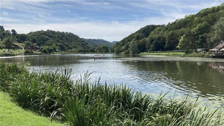 Der Riedener Waldsee belegte im vergangenen Jahr bei der Wahl zum rheinland-pfälzischen Lieblingssee den dritten Platz.  Foto: Archiv/CF