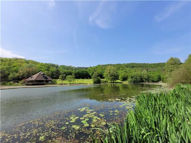Der Riedener Waldsee wurde 2023 Zweiter bei der Wahl zum rheinland-pfälzischen „Lieblingssee“. In diesem Jahr liegt er noch nicht in Podiumsnähe.  Foto: VG-Verwaltung Mendig